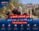 موسم الزيتون في الضفة الغربية تحت الضغط.. مئات الاعتداءات وخسائر تهدد المزارعين