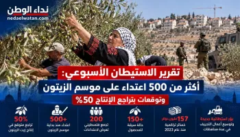 موسم الزيتون في الضفة الغربية تحت الضغط.. مئات الاعتداءات وخسائر تهدد المزارعين