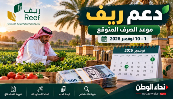 موعد صرف دعم ريف نوفمبر 2026.. متى تنزل الدفعة وكيف تستعلم عن الاستحقاق؟