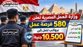 وزارة العمل المصرية تعلن 580 فرصة عمل برواتب تصل إلى 10,500 جنيه.. الشروط وطريقة التقديم