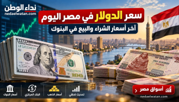 سعر الدولار في مصر اليوم الخميس 29 أكتوبر 2026.. آخر أسعار الشراء والبيع في البنوك