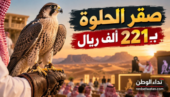 بدأ المزاد بـ60 ألفًا وانتهى بـ221 ألف ريال.. صقر «الحلوة» يخطف الأنظار في السعودية