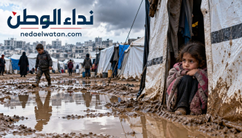 950 ألف نازح في غزة يواجهون خطر الفيضانات.. تقرير أممي يكشف حجم أزمة الشتاء