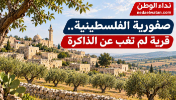 صفورية الفلسطينية.. قرية قرب الناصرة هُجّر أهلها عام 1948 وبقي اسمها حيًا في الذاكرة