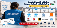 تبحث عن عمل في غزة؟ وظائف الأمم المتحدة والمنظمات الدولية وطريقة التقديم الرسمية
