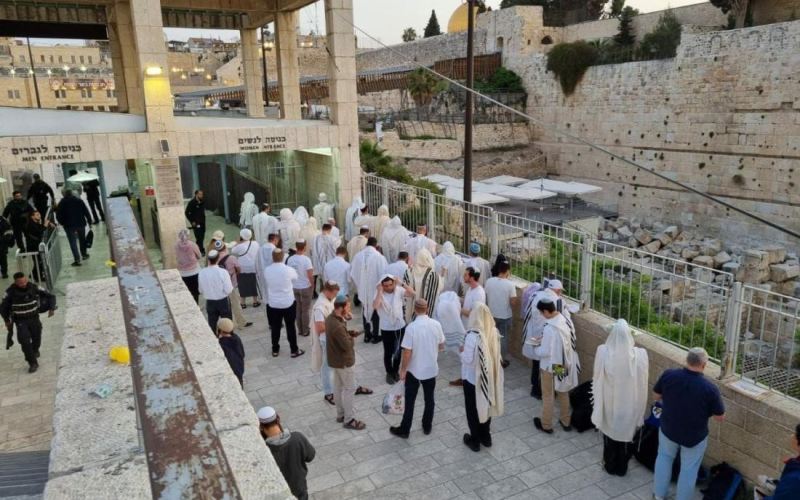 الأوقاف: 1195 مستوطنًا اقتحموا الأقصى في سادس أيام «عيد العرش» والحصيلة تقارب 8500