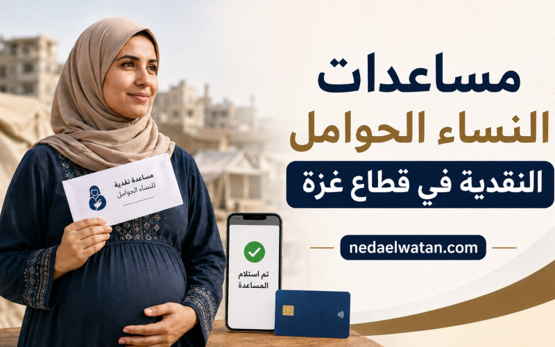 مساعدات النساء الحوامل في غزة 2026: روابط التسجيل والفحص الرسمية