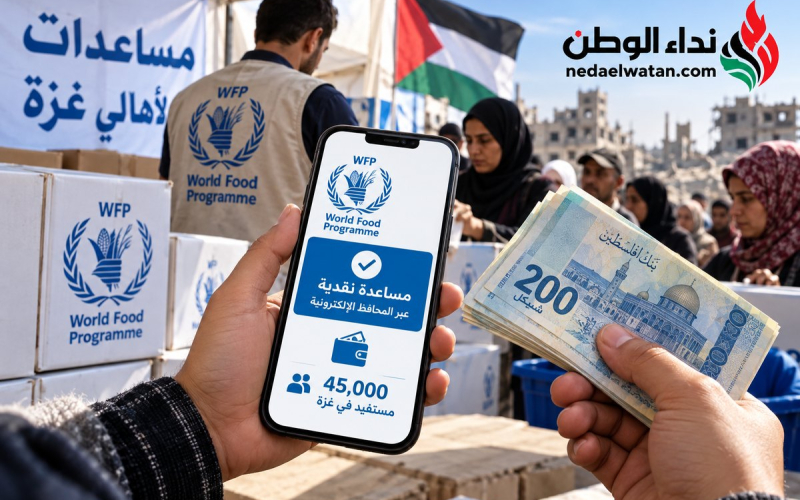 45 ألف شخص في غزة على موعد مع مساعدات نقدية جديدة.. وهذه طريقة صرفها