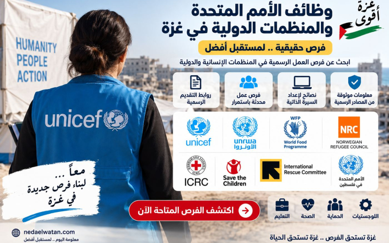 تبحث عن عمل في غزة؟ وظائف الأمم المتحدة والمنظمات الدولية وطريقة التقديم الرسمية