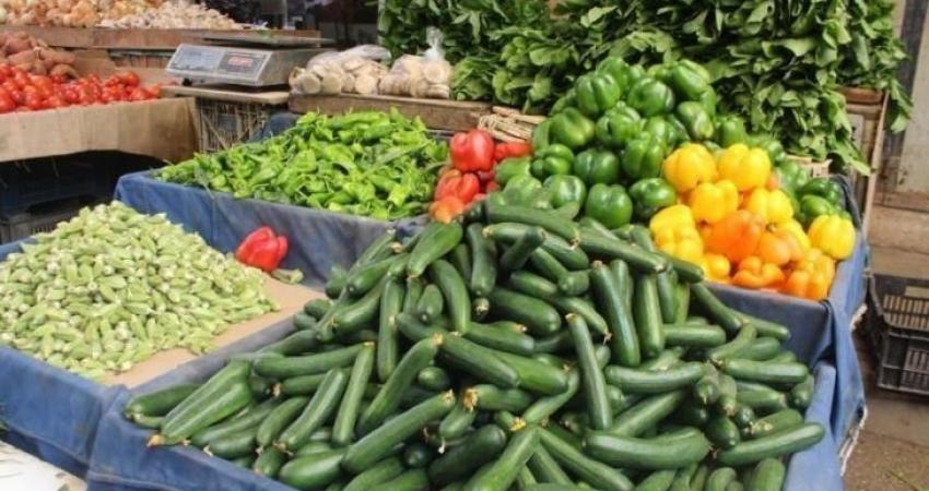 نداء الوطن - أسعار الخضروات والفواكه والدواجن واللحوم في أسواق غزة اليوم