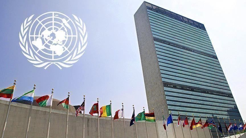 نداء الوطن - الامم المتحدة
