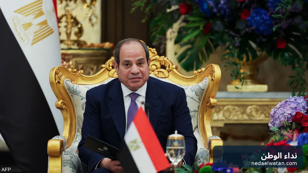 السيسي: الجيش المصري للدفاع عن السعودية وليس لشن هجوم على اليمن