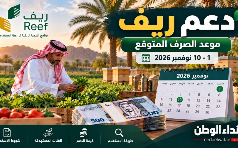 موعد صرف دعم ريف نوفمبر 2026.. متى تنزل الدفعة وكيف تستعلم عن الاستحقاق؟
