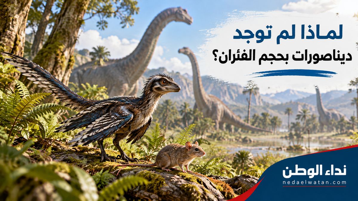 لماذا لم توجد ديناصورات بحجم الفئران؟ دراسة تكشف سرًا حيّر العلماء