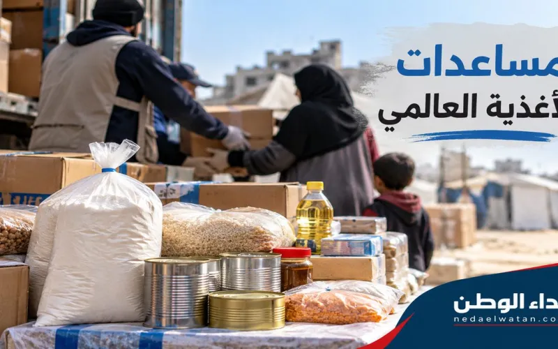 مساعدات برنامج الأغذية العالمي في غزة والضفة.. من المستفيد وكيف تُصرف المساعدات؟