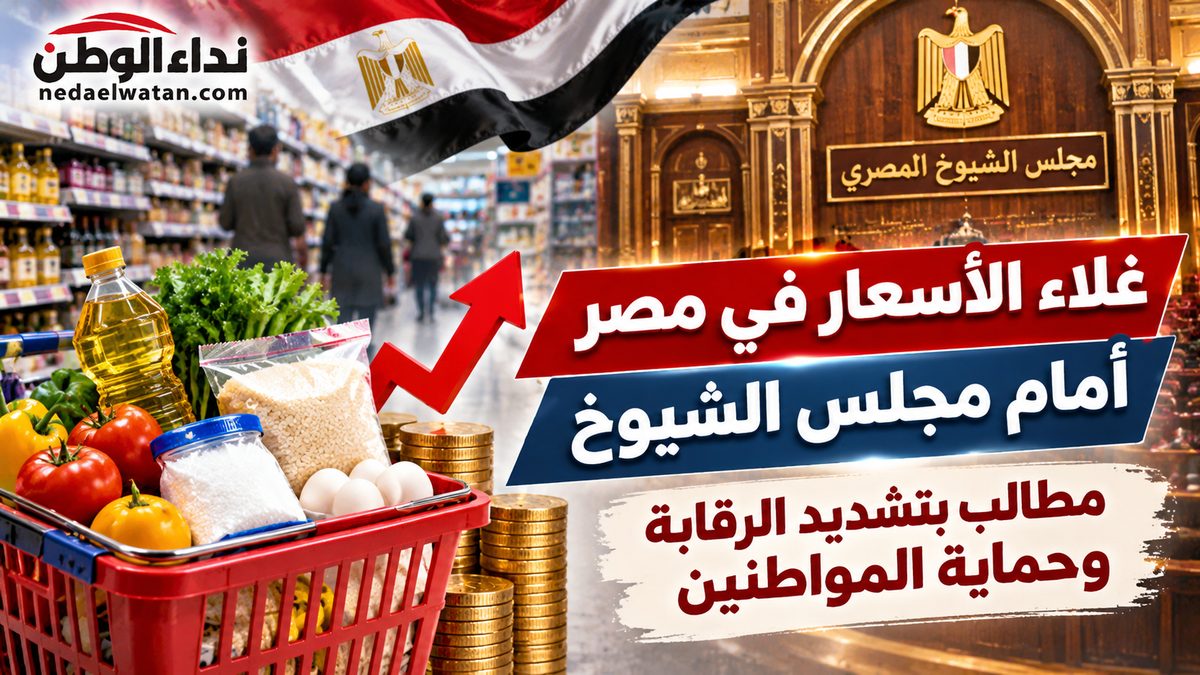 غلاء الأسعار في مصر أمام مجلس الشيوخ.. مطالب بتشديد الرقابة وحماية المواطنين