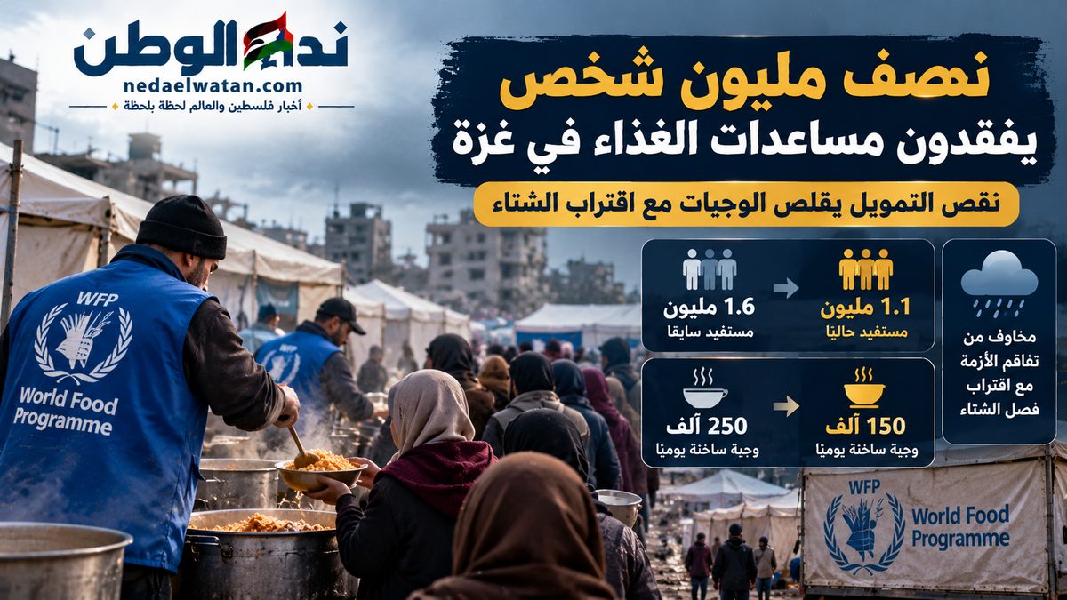 نصف مليون فلسطيني مهددون بفقدان المساعدات الغذائية في غزة.. قرار أممي يخفض الوجبات والحصص مع اقتراب الشتاء
