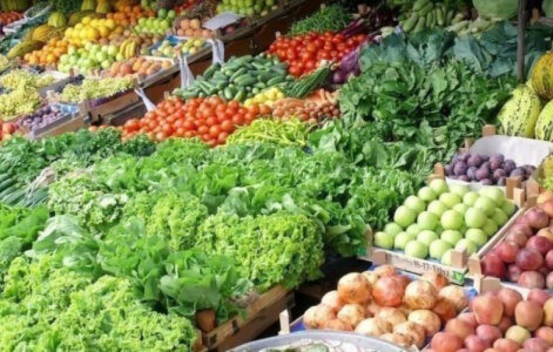 نداء الوطن - أسعار الخضروات والدجاج والفواكه في أسواق غزة اليوم 